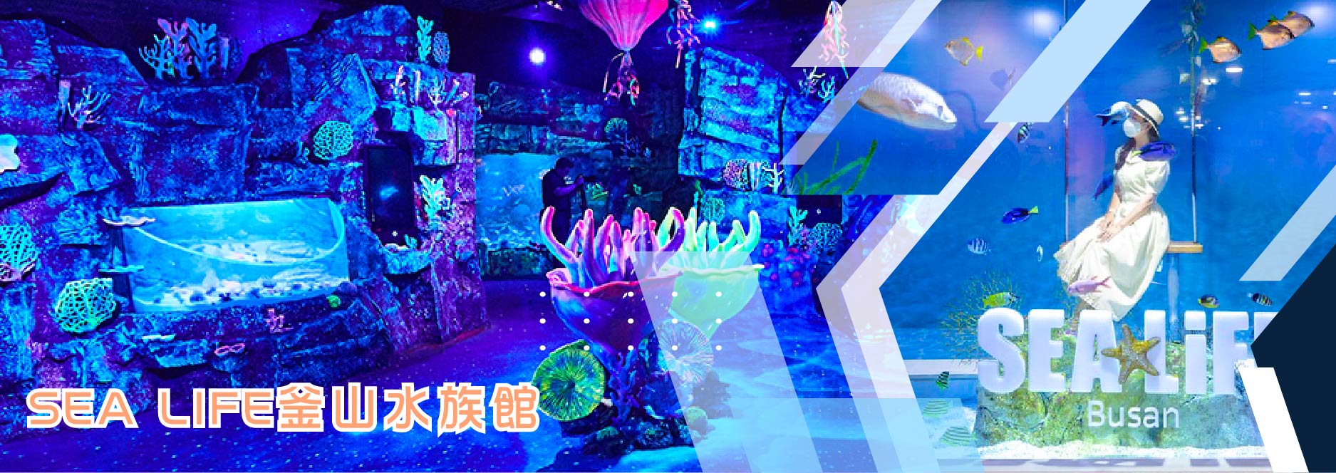 【SEO 圖片說明】